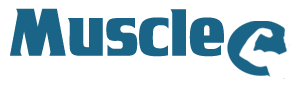 Muscle Chat City